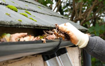 gutter cleaning Monmouthshire